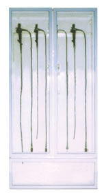 �����洢��